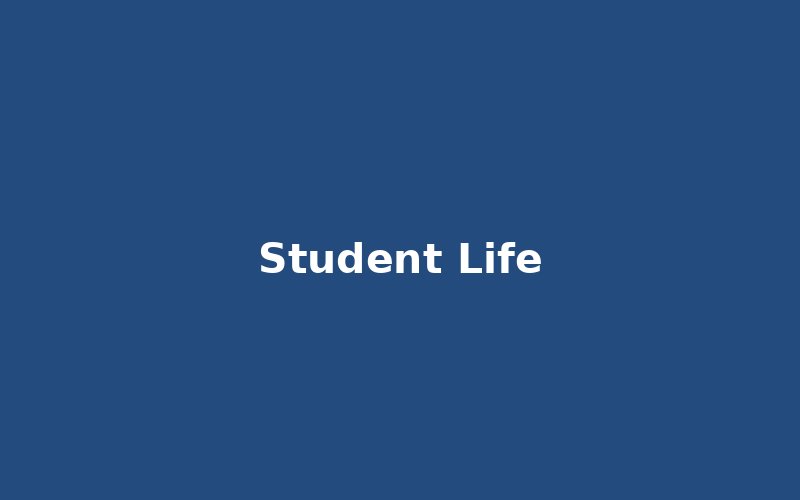 Student Life at DMSF