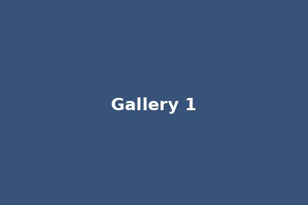 DMSF Gallery 1