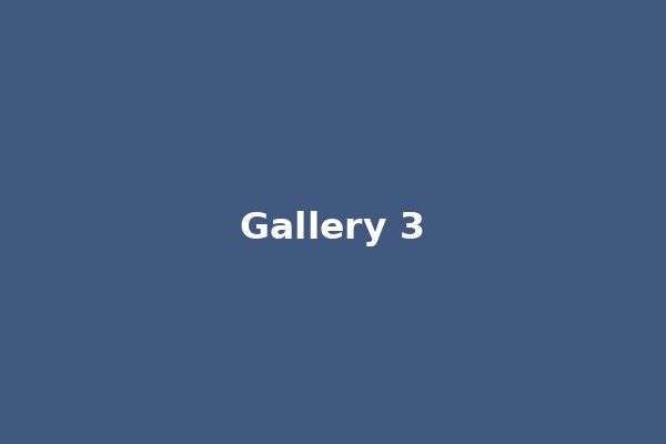 DMSF Gallery 3