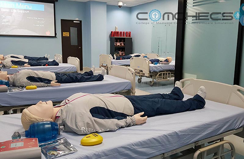 Simulation Mannequins